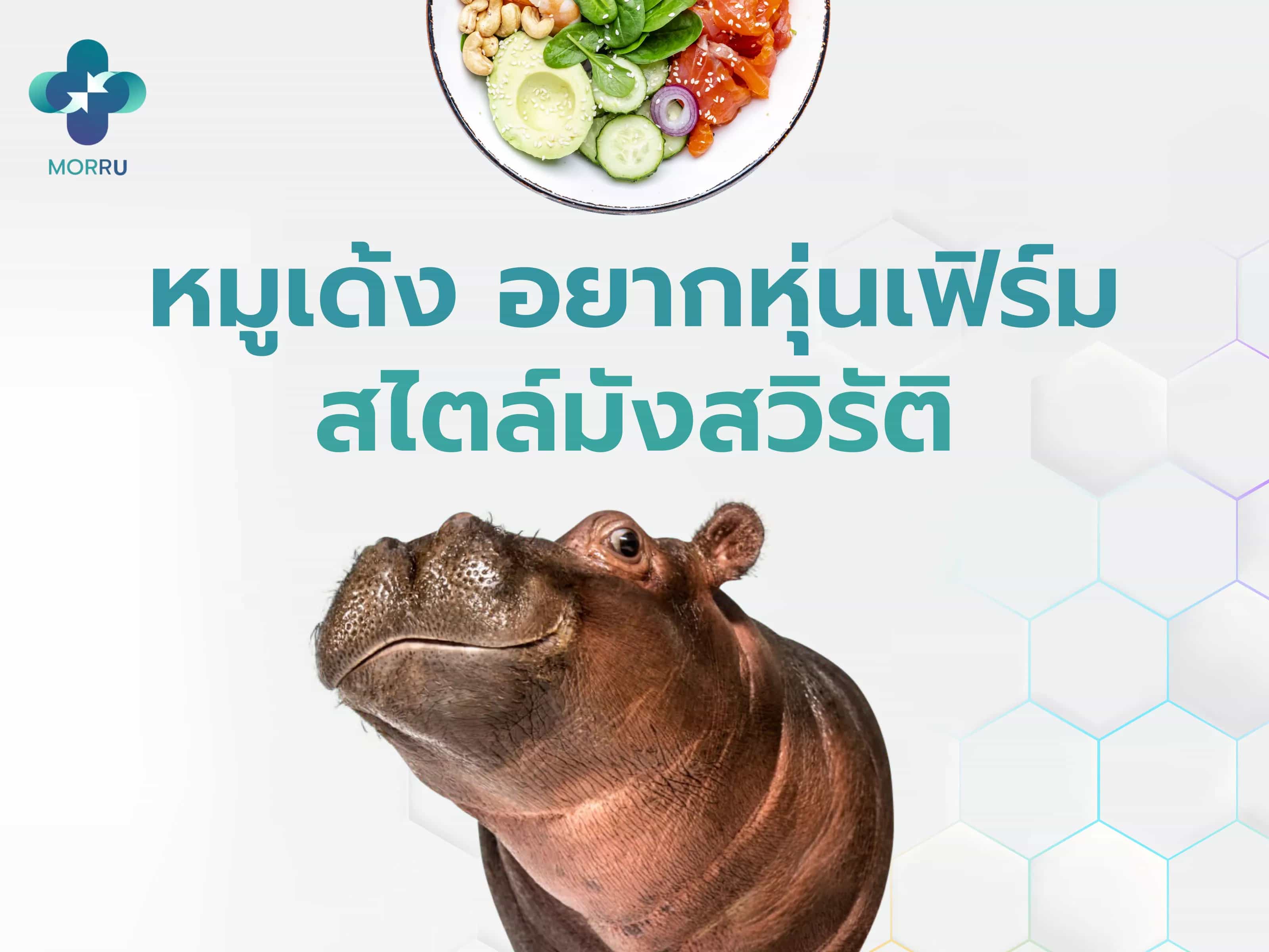 หมูเด้ง เด้งเเบบเฟิร์ม สไตล์มังสวิรัติ