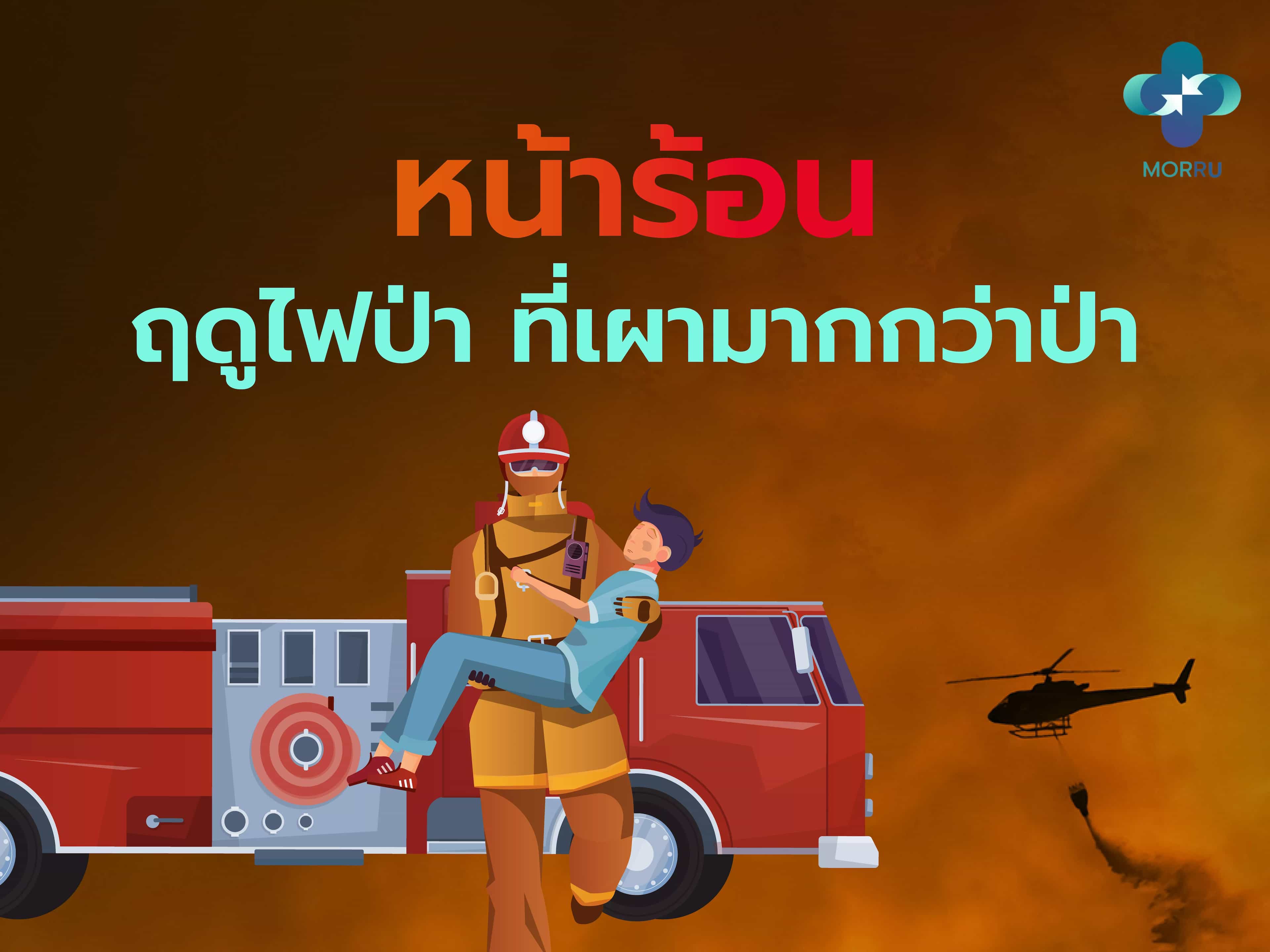 ไฟป่า ไฟที่เผามากกว่าป่า