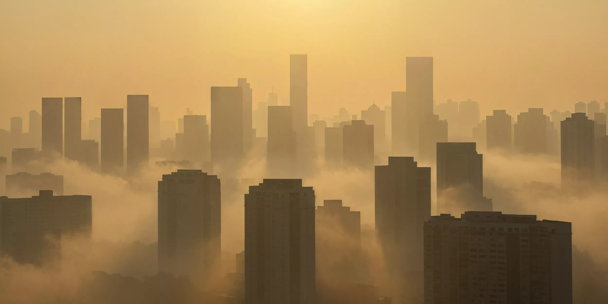 PM 2.5 ฝุ่นจิ๋ว แต่พิษไม่จิ๋ว